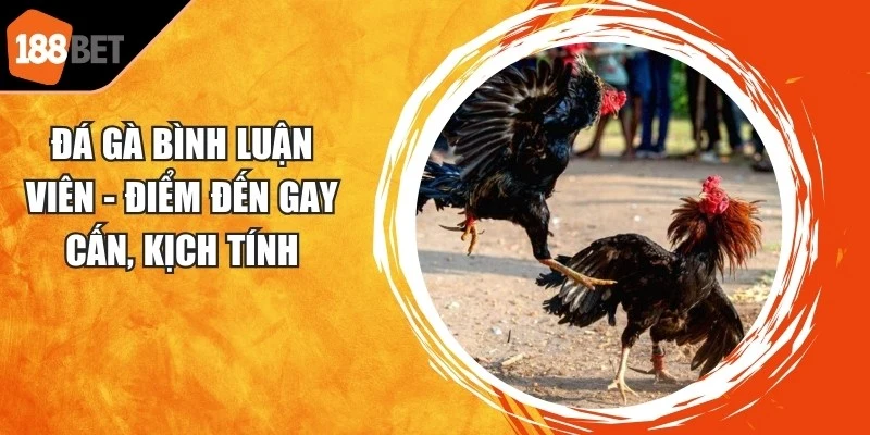 Đá Gà Bình Luận Viên